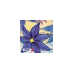 Botz - Unidekor, Set da 6 colori per ceramica