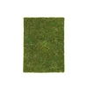 Glorex - Pannello di muschio
