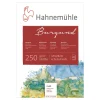 Hahnemühle Burgund 250g blocco