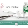 Hahnemühle - Carta per acquerello Harmony