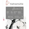 Hahnemühle carta Sumi-e