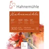 Hahnemühle - 300g blocco acquerello
