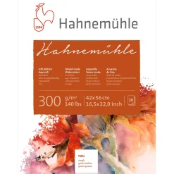 Hahnemühle - 300g blocco acquerello