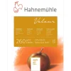 Hahnemühle Velours carta da pastello