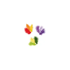 Knorr Prandell - Piume colorate