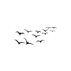 Lavinia - Timbro, Birds