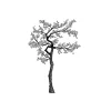 Lavinia - Timbro, Cherry Blossom Tree