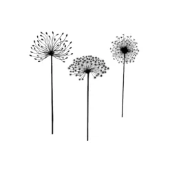 Lavinia - Timbro, Dandelions