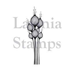 Lavinia - Timbro, Fairy Thistles