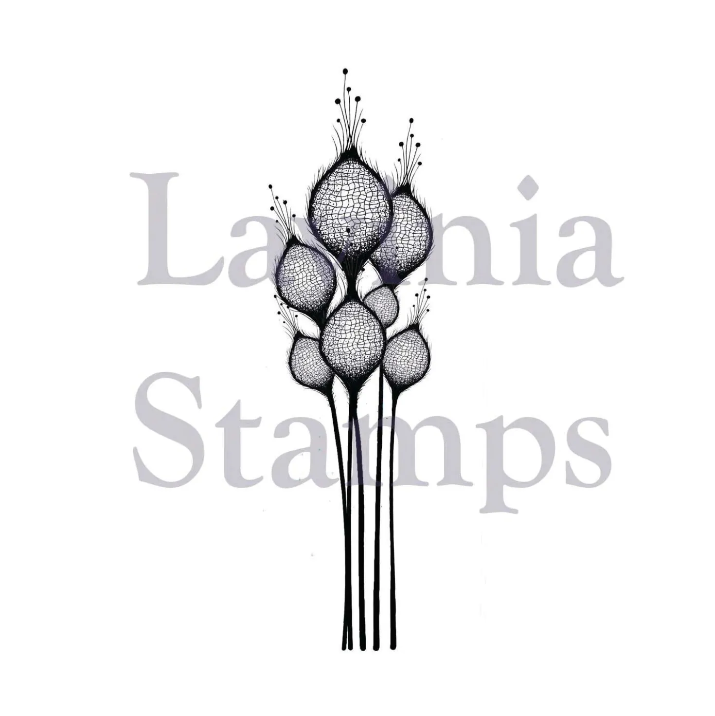 Lavinia - Timbro, Fairy Thistles