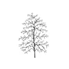 Lavinia - Timbro, Fern Leaf