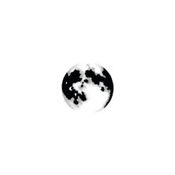 Lavinia - Timbro, Luna