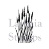 Lavinia - Timbro, Meadow Grass