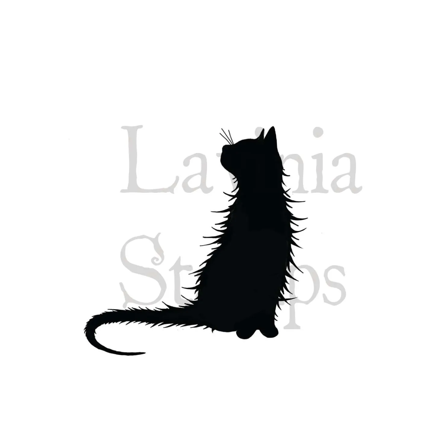 Lavinia - Timbro, Mooch