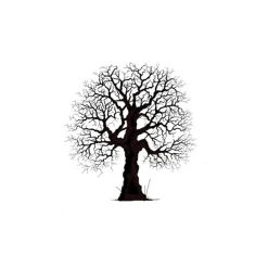 Lavinia - Timbro, Oak Tree