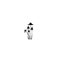 Lavinia - Timbro, Slender Mushrooms