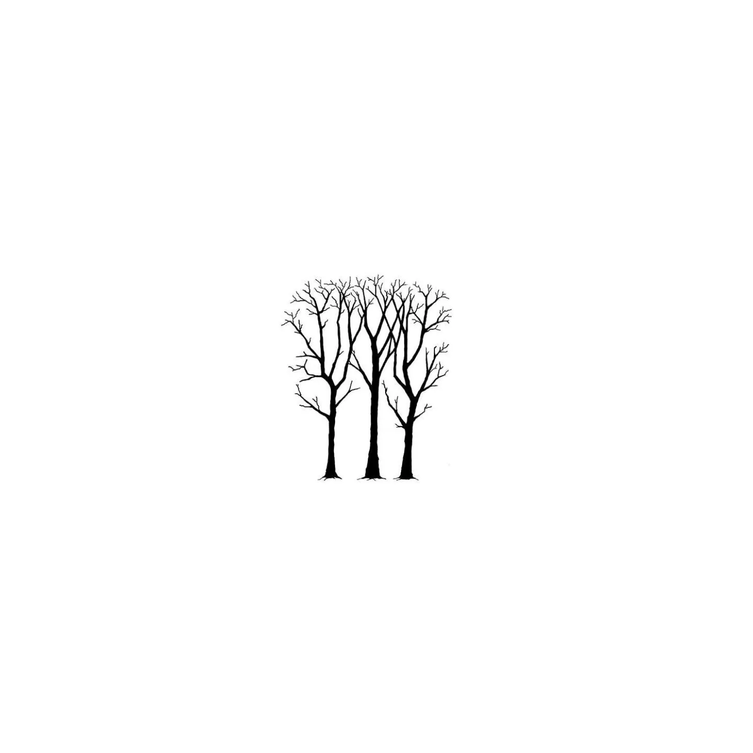 Lavinia - Timbro, Spring Trees
