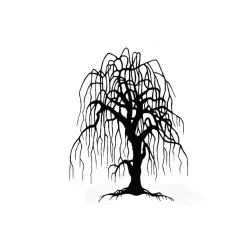 Lavinia - Timbro, Weeping Willow Tree