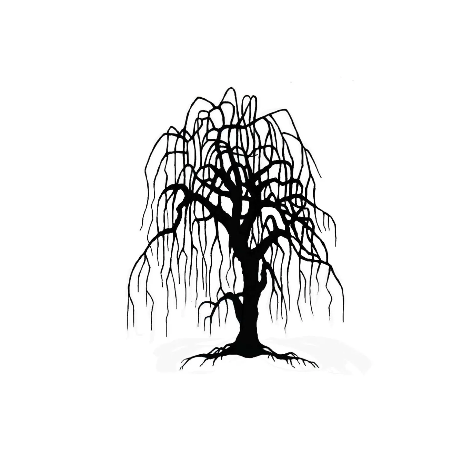 Lavinia - Timbro, Weeping Willow Tree