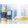 Lefranc & Bourgeois - Medium per pittura liquido, lucido e trasparente