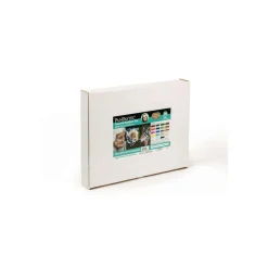 PanPastel - Rebecca Kirsty, Set realismo