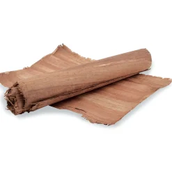 Papiro antico