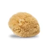 Spugna per acquerello Caraibi Grass
