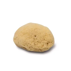 Spugna zimocca