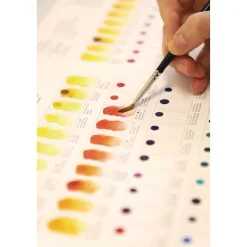 Winsor & Newton - Professional Water Colour Dot Card