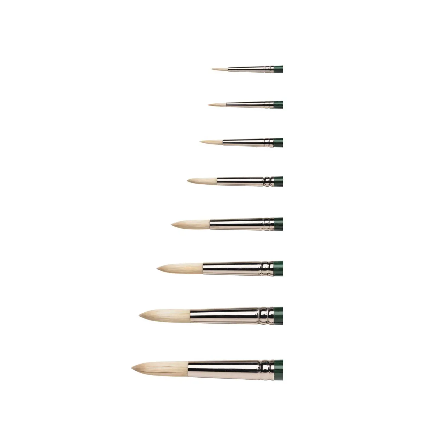 Winsor & Newton - Winton, pennello in setola tondo per pittura acrilica e a olio